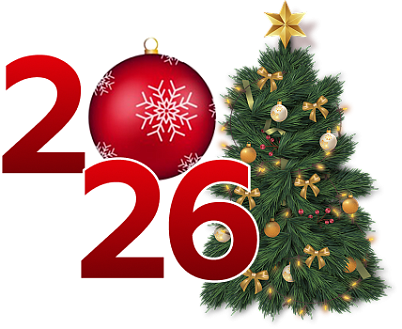 ROMMER ПОЗДРАВЛЯЕТ С НОВЫМ ГОДОМ 2026!